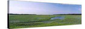 Salt Marshes, Atlantic Coast, Jacksonville, Florida, USA-null-Stretched Canvas