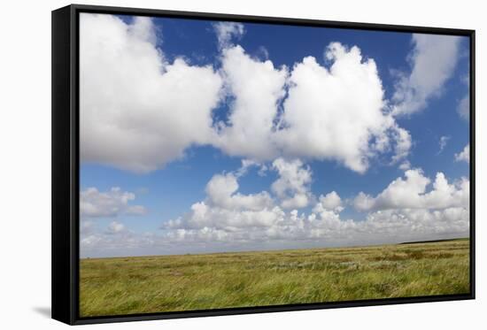 Salt Meadow (Salt Marshes)-Markus Lange-Framed Stretched Canvas