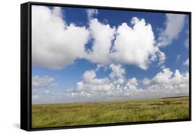 Salt Meadow (Salt Marshes)-Markus Lange-Framed Stretched Canvas