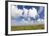 Salt Meadow (Salt Marshes)-Markus Lange-Framed Photographic Print