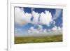 Salt Meadow (Salt Marshes)-Markus Lange-Framed Photographic Print