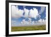 Salt Meadow (Salt Marshes)-Markus Lange-Framed Photographic Print