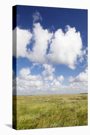 Salt Meadow (Salt Marshes)-Markus Lange-Stretched Canvas