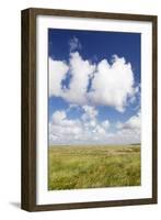 Salt Meadow (Salt Marshes)-Markus Lange-Framed Photographic Print