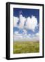 Salt Meadow (Salt Marshes)-Markus Lange-Framed Photographic Print