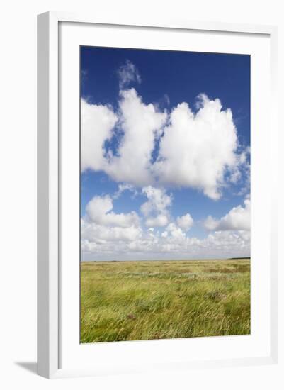 Salt Meadow (Salt Marshes)-Markus Lange-Framed Photographic Print