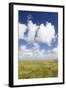 Salt Meadow (Salt Marshes)-Markus Lange-Framed Photographic Print