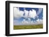 Salt Meadow (Salt Marshes)-Markus Lange-Framed Photographic Print