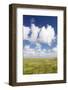 Salt Meadow (Salt Marshes)-Markus Lange-Framed Photographic Print