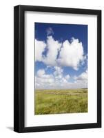 Salt Meadow (Salt Marshes)-Markus Lange-Framed Photographic Print