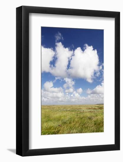 Salt Meadow (Salt Marshes)-Markus Lange-Framed Photographic Print