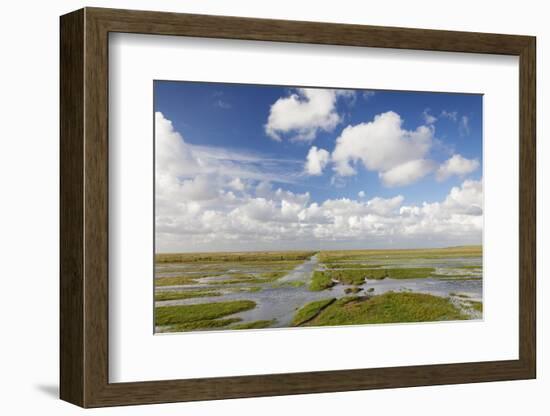 Salt Meadow (Salt Marshes)-Markus Lange-Framed Photographic Print