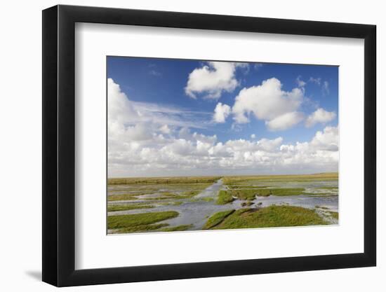 Salt Meadow (Salt Marshes)-Markus Lange-Framed Photographic Print