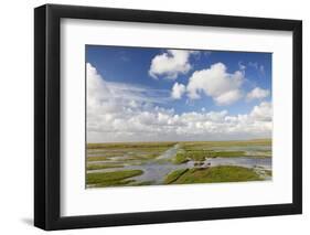 Salt Meadow (Salt Marshes)-Markus Lange-Framed Photographic Print