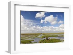 Salt Meadow (Salt Marshes)-Markus Lange-Framed Photographic Print
