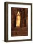 Salt Mine in Wieliczka. Poland-B-D-S-Framed Photographic Print