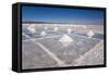 Salt Mounds Extracted from Salt Plains, Salar De Uyuni, Colchani, Bolivia, South America-Kim Walker-Framed Stretched Canvas