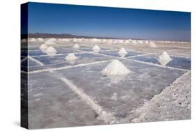 Salt Mounds Extracted from Salt Plains, Salar De Uyuni, Colchani, Bolivia, South America-Kim Walker-Stretched Canvas