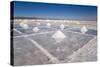 Salt Mounds Extracted from Salt Plains, Salar De Uyuni, Colchani, Bolivia, South America-Kim Walker-Stretched Canvas