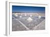 Salt Mounds Extracted from Salt Plains, Salar De Uyuni, Colchani, Bolivia, South America-Kim Walker-Framed Photographic Print