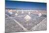 Salt Mounds Extracted from Salt Plains, Salar De Uyuni, Colchani, Bolivia, South America-Kim Walker-Mounted Photographic Print