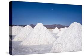 Salt Mounds Extracted from Salt Plains, Salar De Uyuni, Colchani, Bolivia, South America-Kim Walker-Stretched Canvas