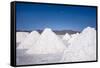 Salt Mounds Extracted from Salt Plains, Salar De Uyuni, Colchani, Bolivia, South America-Kim Walker-Framed Stretched Canvas