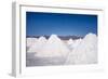 Salt Mounds Extracted from Salt Plains, Salar De Uyuni, Colchani, Bolivia, South America-Kim Walker-Framed Photographic Print