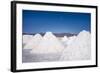 Salt Mounds Extracted from Salt Plains, Salar De Uyuni, Colchani, Bolivia, South America-Kim Walker-Framed Photographic Print