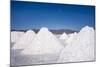 Salt Mounds Extracted from Salt Plains, Salar De Uyuni, Colchani, Bolivia, South America-Kim Walker-Mounted Photographic Print