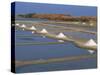 Salt Pans in Marshes, Ile De Re, Poitou Charentes, France, Europe-Thouvenin Guy-Stretched Canvas