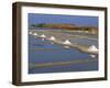 Salt Pans in Marshes, Ile De Re, Poitou Charentes, France, Europe-Thouvenin Guy-Framed Photographic Print