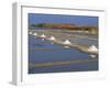 Salt Pans in Marshes, Ile De Re, Poitou Charentes, France, Europe-Thouvenin Guy-Framed Photographic Print