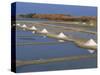 Salt Pans in Marshes, Ile De Re, Poitou Charentes, France, Europe-Thouvenin Guy-Stretched Canvas