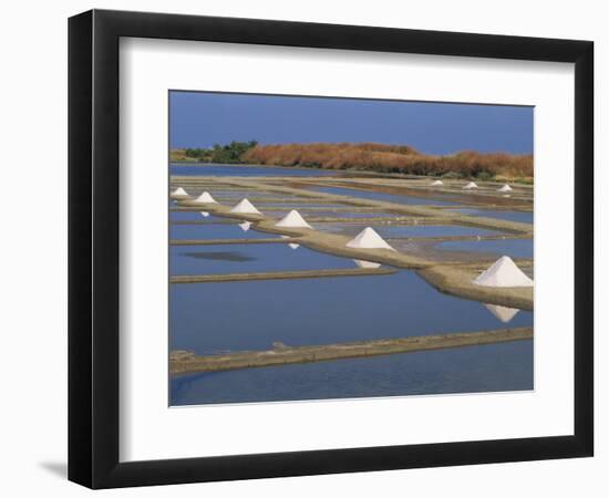Salt Pans in Marshes, Ile De Re, Poitou Charentes, France, Europe-Thouvenin Guy-Framed Photographic Print