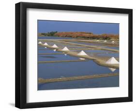 Salt Pans in Marshes, Ile De Re, Poitou Charentes, France, Europe-Thouvenin Guy-Framed Photographic Print