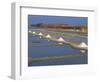 Salt Pans in Marshes, Ile De Re, Poitou Charentes, France, Europe-Thouvenin Guy-Framed Photographic Print