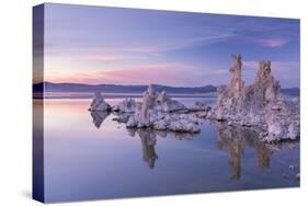 Salt Pillar Formations at Sunset, South Tufa, Mono Lake, California, USA-Adam Burton-Stretched Canvas