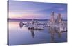 Salt Pillar Formations at Sunset, South Tufa, Mono Lake, California, USA-Adam Burton-Stretched Canvas