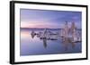 Salt Pillar Formations at Sunset, South Tufa, Mono Lake, California, USA-Adam Burton-Framed Photographic Print