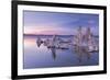 Salt Pillar Formations at Sunset, South Tufa, Mono Lake, California, USA-Adam Burton-Framed Photographic Print