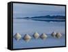 Salt Pyramids Wait for the Sun in a Flooded Salf Flat in Uyuni,-Sergio Ballivian-Framed Stretched Canvas