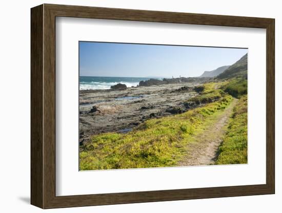 Salt River Coastal Route Hiking Trail Mini Otter Trek-Kim Walker-Framed Photographic Print