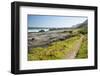 Salt River Coastal Route Hiking Trail Mini Otter Trek-Kim Walker-Framed Photographic Print