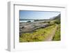 Salt River Coastal Route Hiking Trail Mini Otter Trek-Kim Walker-Framed Photographic Print