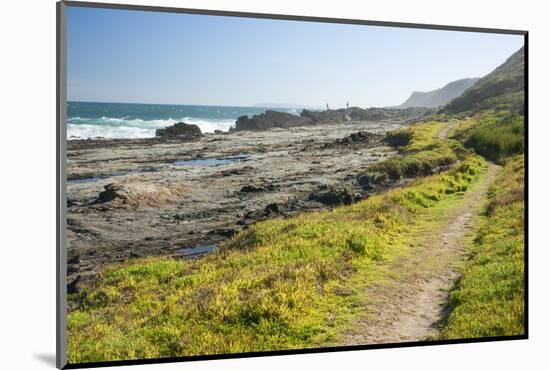 Salt River Coastal Route Hiking Trail Mini Otter Trek-Kim Walker-Mounted Photographic Print