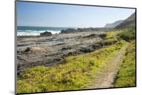 Salt River Coastal Route Hiking Trail Mini Otter Trek-Kim Walker-Mounted Photographic Print