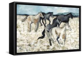 Salt River Wild-Kari Taylor-Framed Stretched Canvas