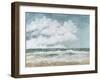 Salt Spray-Barbra Mann Myers-Framed Giclee Print