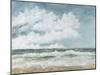 Salt Spray-Barbra Mann Myers-Mounted Giclee Print